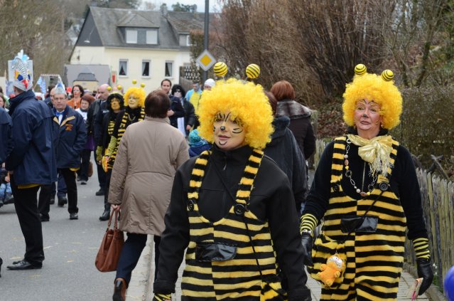 umzug simmern_140301_vb_041